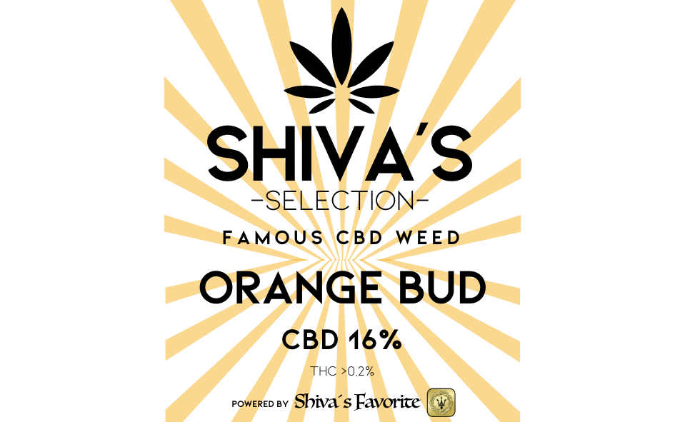 SHIVA´S SELECTION - CBD Blüten 15%