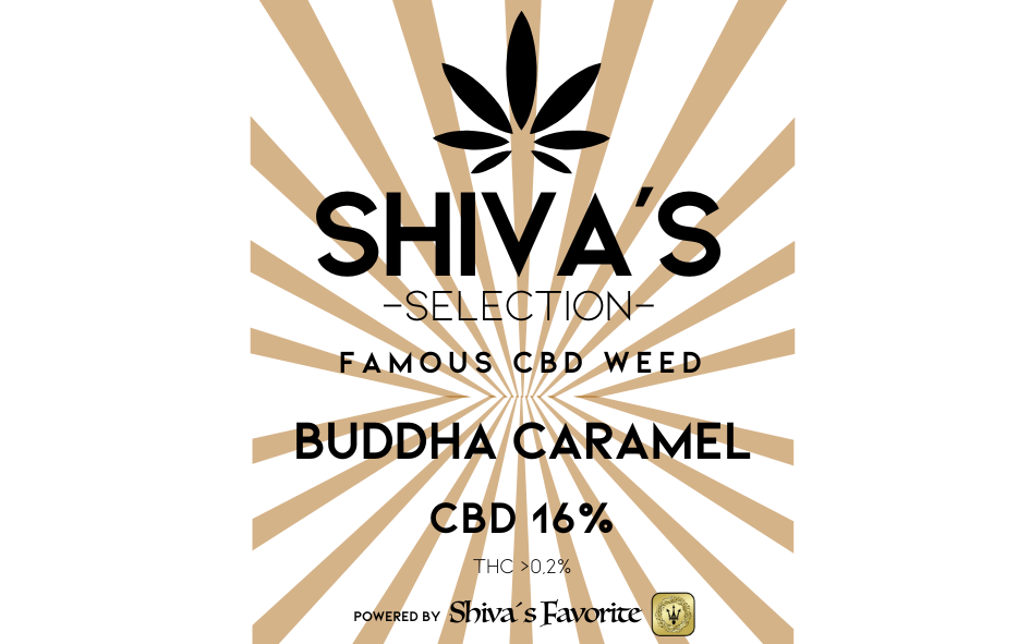 SHIVA´S SELECTION - CBD Blüten 15%