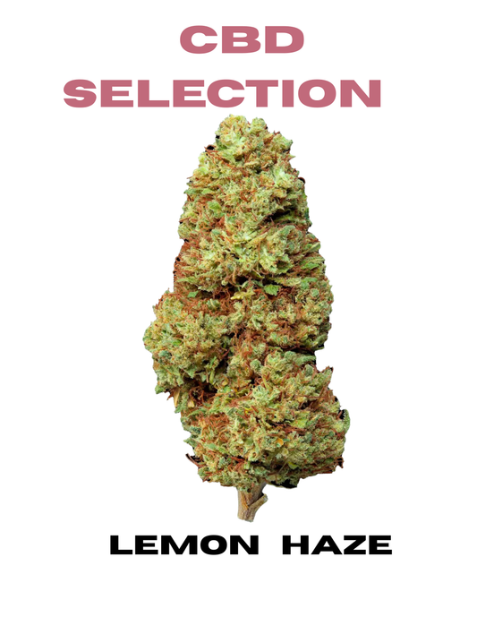 SHIVA´S SELECTION Lemon Haze - CBD Blüten 15%