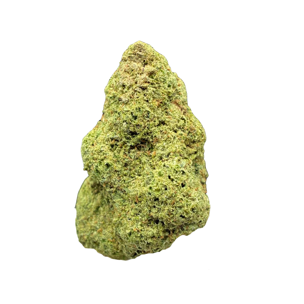 Amnesia Cryo THCA Blüte – dicht mit Kief bestaubter, hellgrüner Bud mit gleichmäßiger Trichomschicht auf weißem Hintergrund, Hemp Express