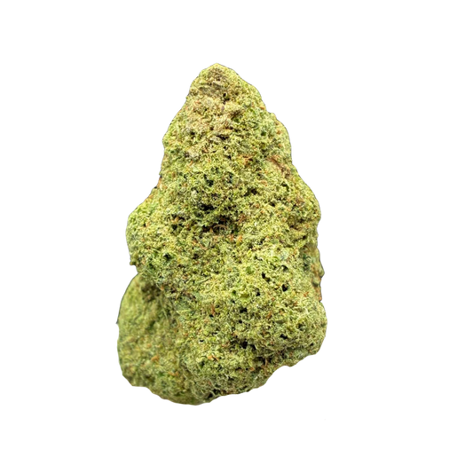 Amnesia Cryo THCA Blüte – dicht mit Kief bestaubter, hellgrüner Bud mit gleichmäßiger Trichomschicht auf weißem Hintergrund, Hemp Express