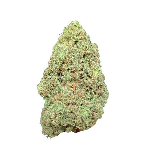 Candy Gas THCA Blüte – großer, spitz zulaufender Bud mit sattgrüner Farbe und goldbraunen Pistillen auf weißem Hintergrund, Hemp Express