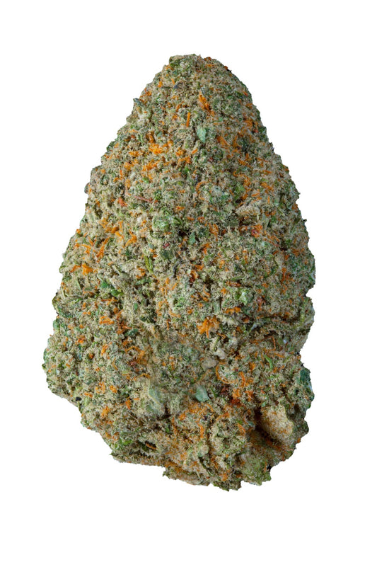 SHIVA'S FAVORITE Premium – Shani 23% (BESTSELLER)