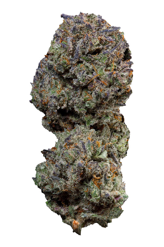 SHIVA'S FAVORITE Premium – Purple Haze - 21%