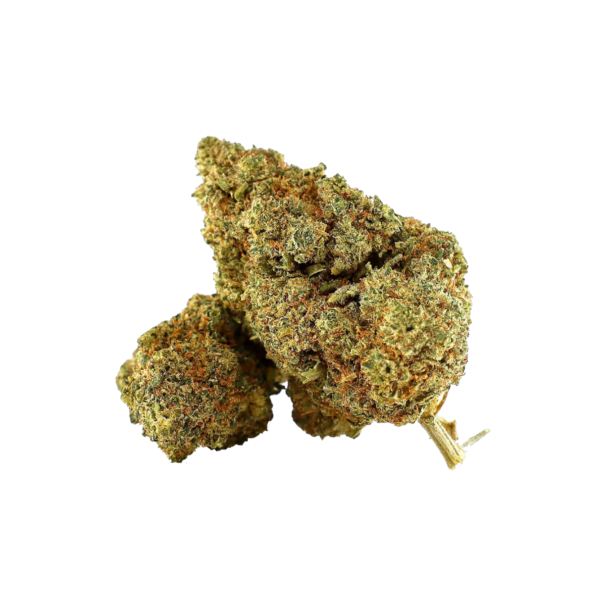 Amnesia OG