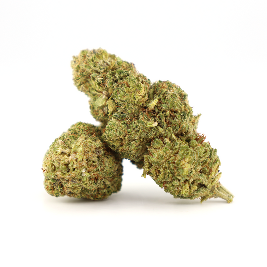 COOKIES Honey Bun – getrocknete Hemp Infused Flower Buds, hellgrün, Nahaufnahme auf weißem Hintergrund
