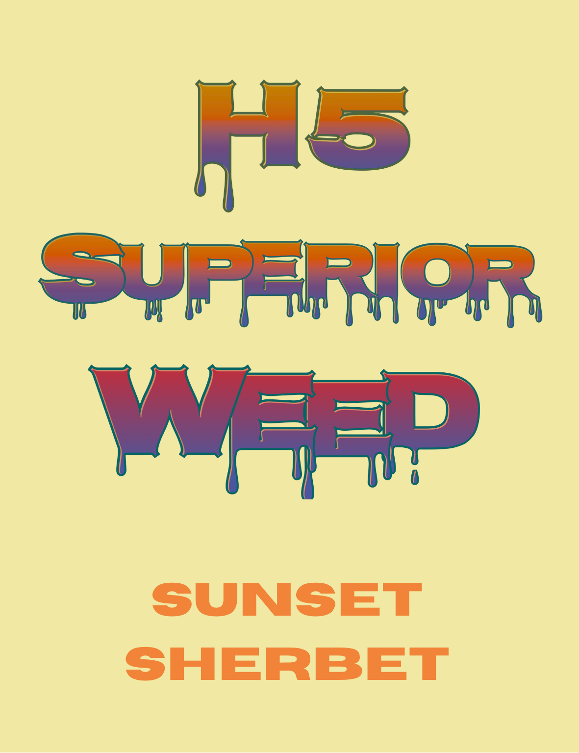 „H5 Superior Blend Sunset Sherbet Blüten – Premium CBD Hanfblüten mit süß-cremigem Sorbet-Aroma und kompakter Bud-Struktur von Hemp Express"