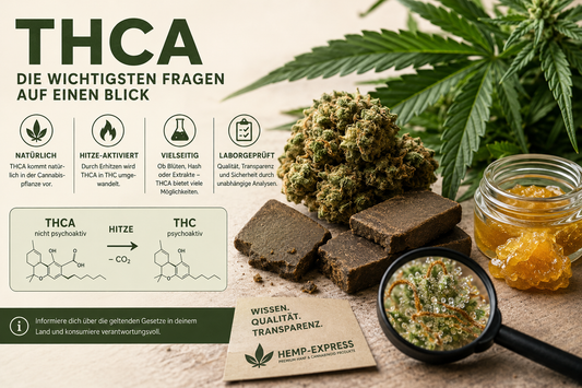 THCA – DER ULTIMATIVE FAQ-RATGEBER  20 FRAGEN & ANTWORTEN