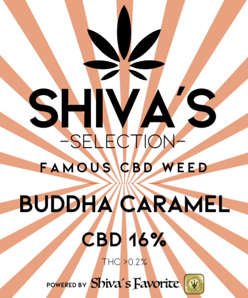 SHIVA´S SELECTION - CBD Blüten 15%