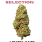 SHIVA´S SELECTION Lemon Haze - CBD Blüten 15%