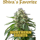 Shiva's Favorite Northern Lights Premium CBD Blüten