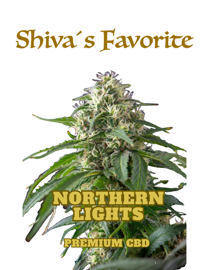 Shiva's Favorite Northern Lights Premium CBD Blüten