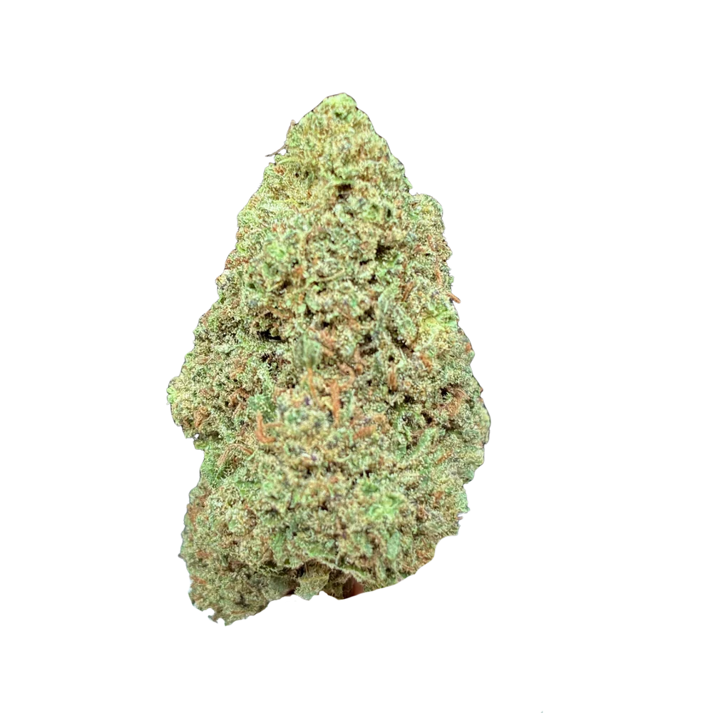 Candy Gas THCA Blüte – großer, spitz zulaufender Bud mit sattgrüner Farbe und goldbraunen Pistillen auf weißem Hintergrund, Hemp Express
