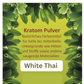 Kratom - Mitragyna speciosa