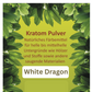 Kratom - Mitragyna speciosa