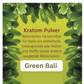 Kratom - Mitragyna speciosa
