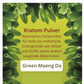 Kratom - Mitragyna speciosa