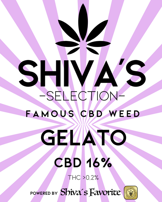 SHIVA´S SELECTION Gelato - CBD Blüten 16%