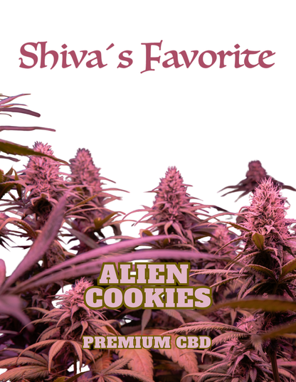 Shiva's Favorite Alien Cookies Premium CBD Blüten