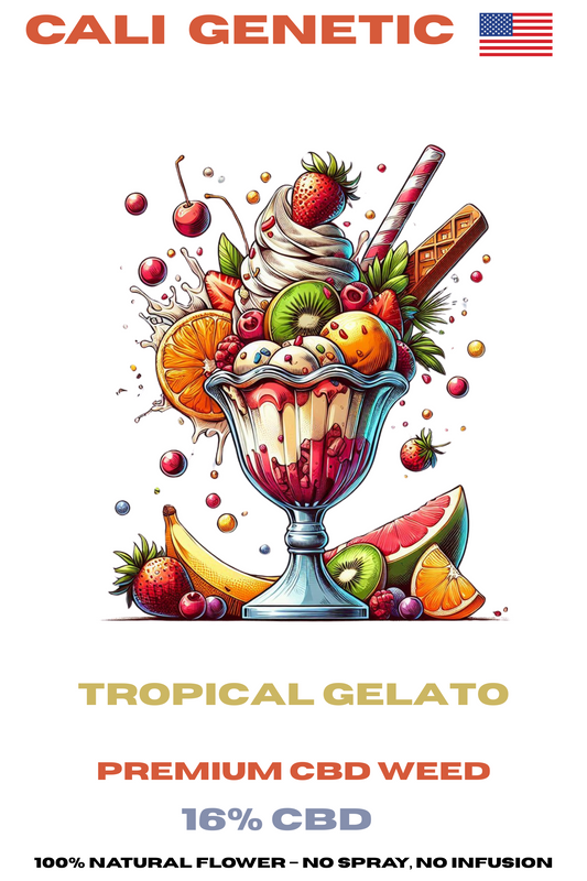 CALIGenetic Tropical Gelato - Premium CBD Blüten 3,5g