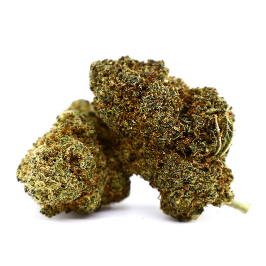 COOKIES Cheetah Piss – getrocknete Hemp Infused Flower Buds, Nahaufnahme auf weißem Hintergrund