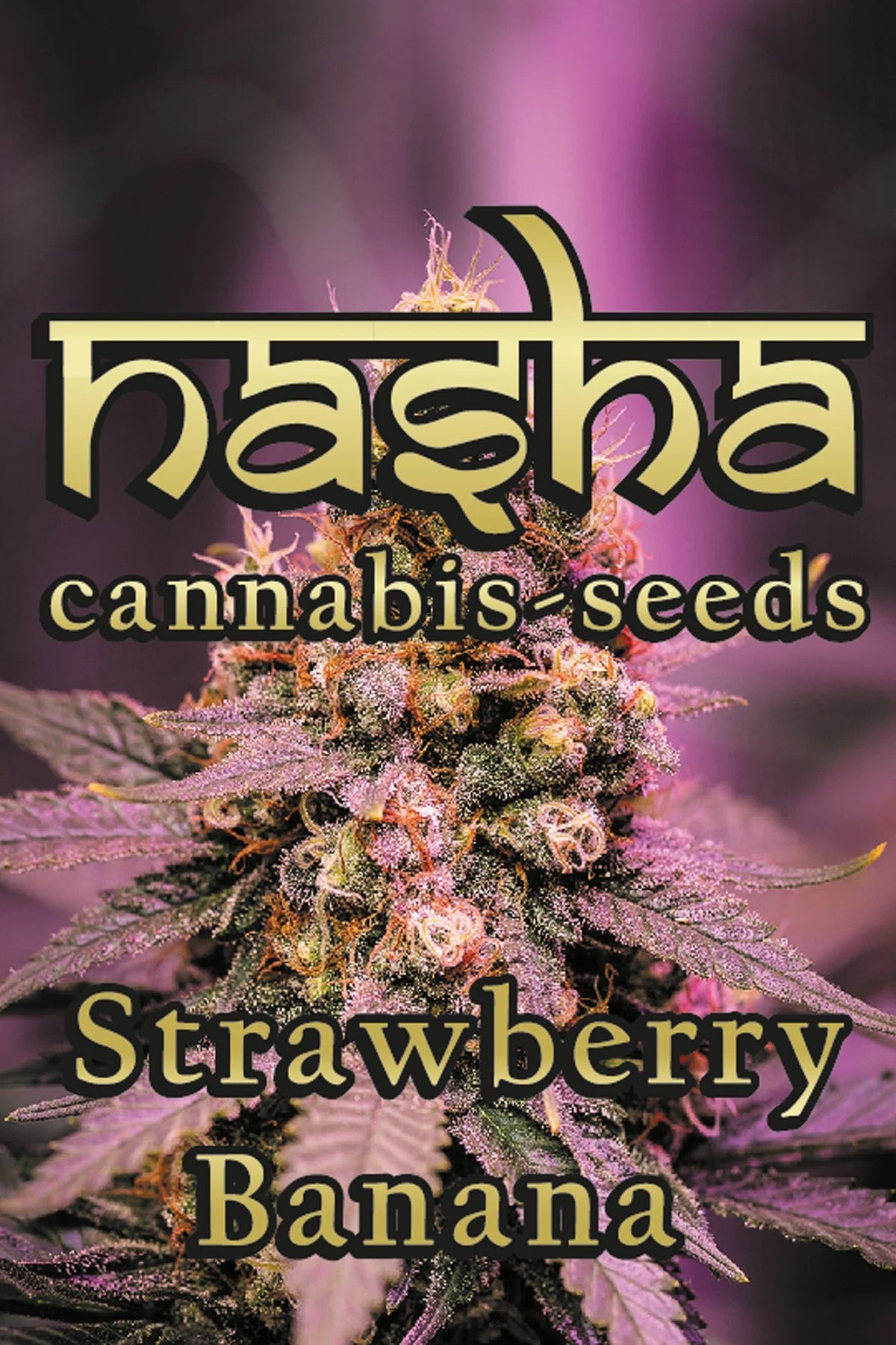 NASHA SEEDS-Strawberry Banana- Photperiodisch, 3 Stück