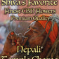 SHIVA'S FAVORITE Premium – Nepali Temple Charas - 19%