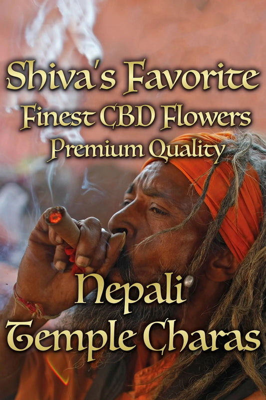 SHIVA'S FAVORITE Premium – Nepali Temple Charas - 19%