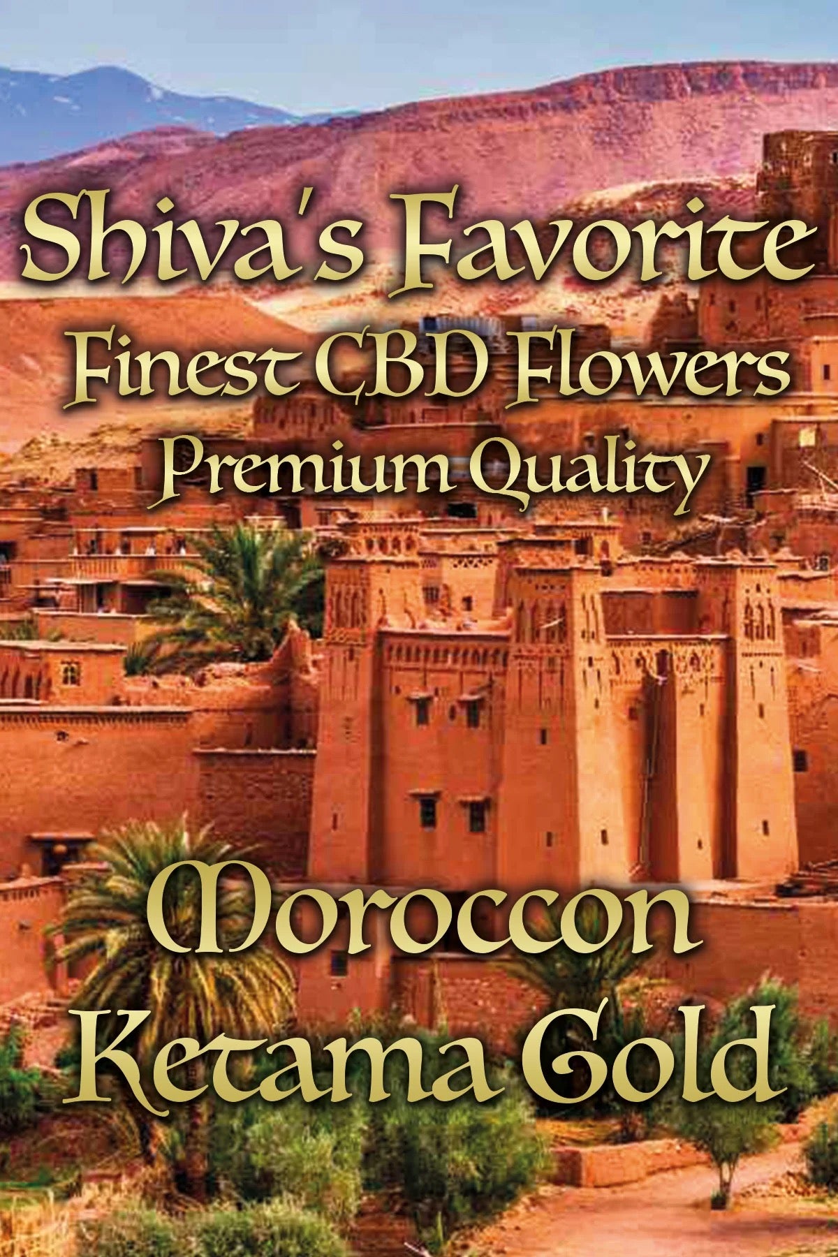 SHIVA'S FAVORITE Premium – Moroccon Ketama Gold - 25%