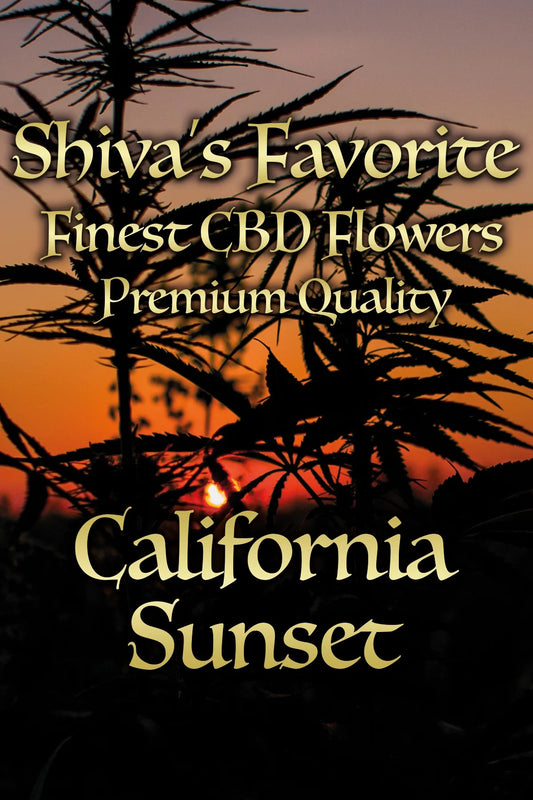 SHIVA'S FAVORITE - California Sunset - 18%