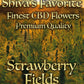 SHIVA'S FAVORITE Strawberry Fields - 19%