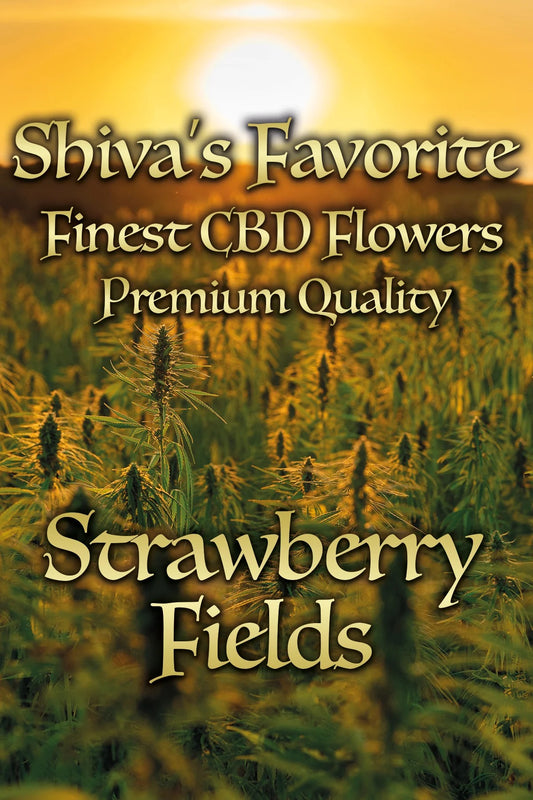 SHIVA'S FAVORITE Strawberry Fields - 19%