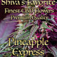 SHIVA'S FAVORITE Premium - Pineapple Express -  24%