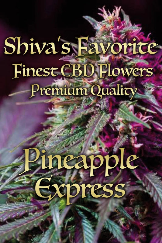 SHIVA'S FAVORITE Premium - Pineapple Express -  24%