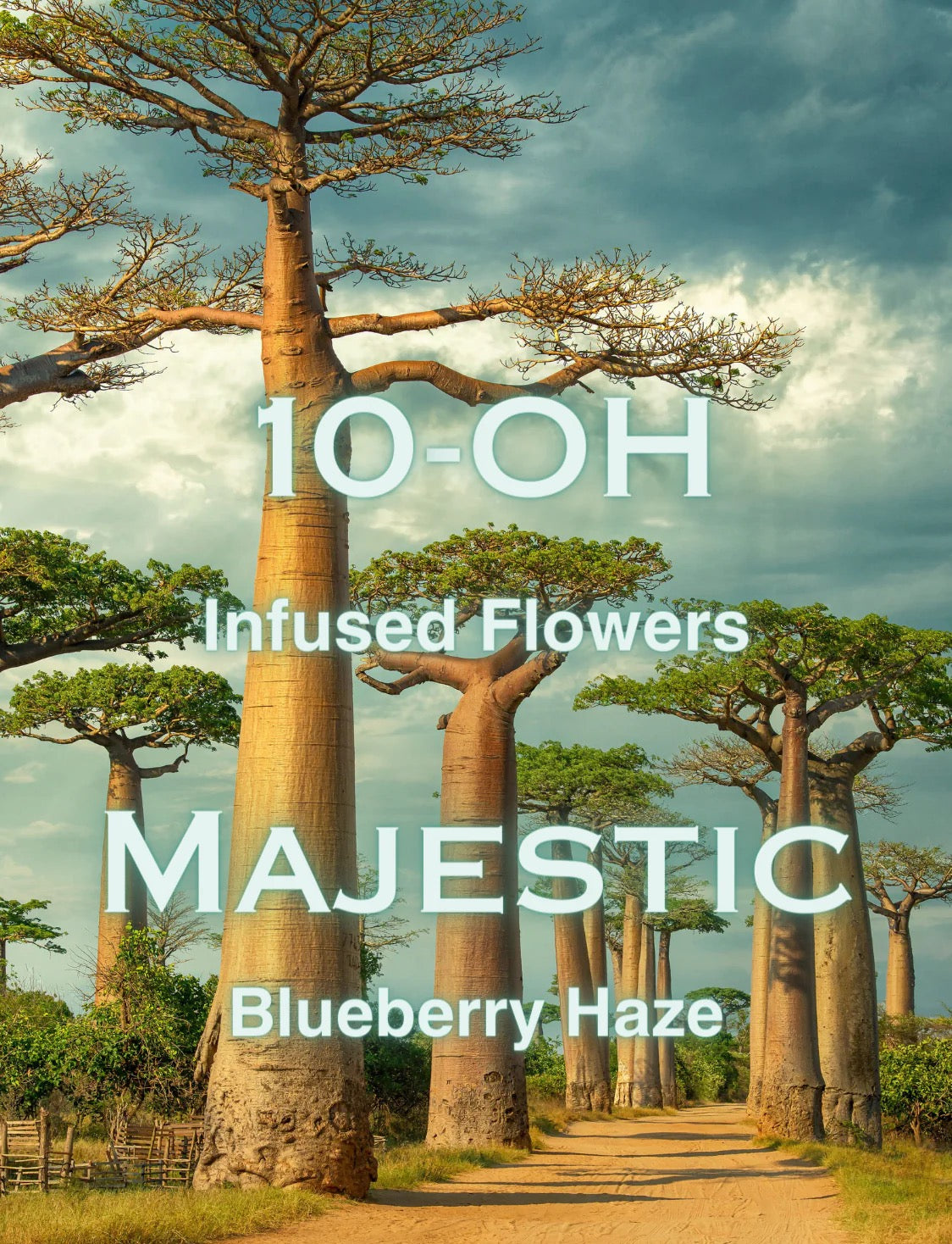 Majestic 10-OH Blüten Blueberry Haze NEU!