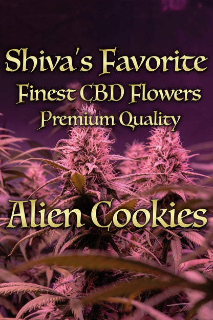 SHIVA'S FAVORITE Premium Alien Cookies 21% – Premium CBD Blüten, laborgeprüft, 21% CBD, unter 0,2% THC | Hemp Express
