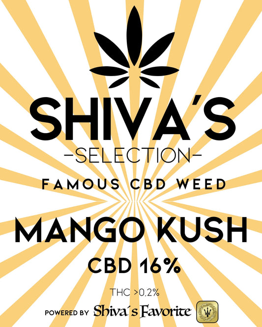 SHIVA´S SELECTION  Mango Kush - CBD Blüten 16%