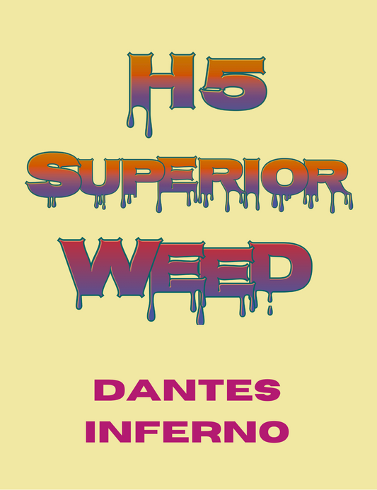 „H5 Superior Blend Dantes Inferno Blüten – Premium CBD Hanfblüten mit intensivem, kraftvollem Terpenprofil von Hemp Express"