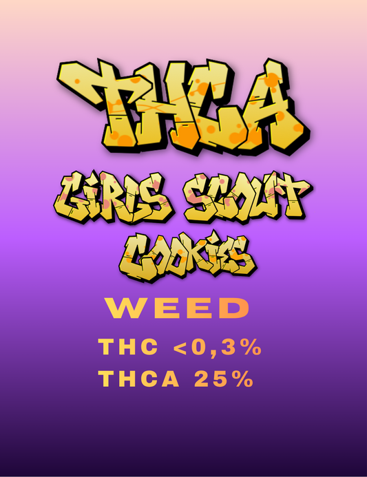THCA Weed Girl Scout Cookies 25% - Premium Indoor Blüten mit hohem THCA-Gehalt