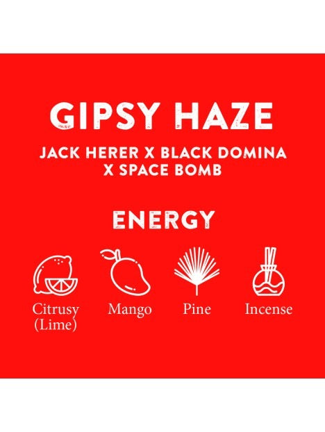 THCA Weed Gipsy Haze 25% – Premium Indoor THCA Blüten, laborgeprüft, 25% THCA, unter 0,3% THC | Hemp Express
