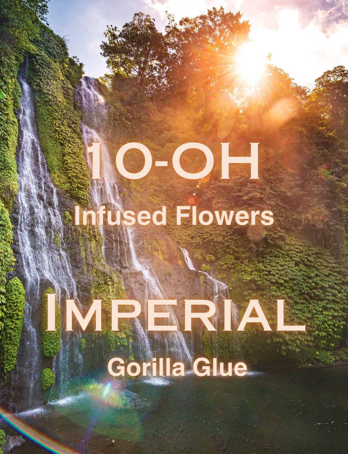 Imperial 10-OH Blüten Gorilla Glue NEU!