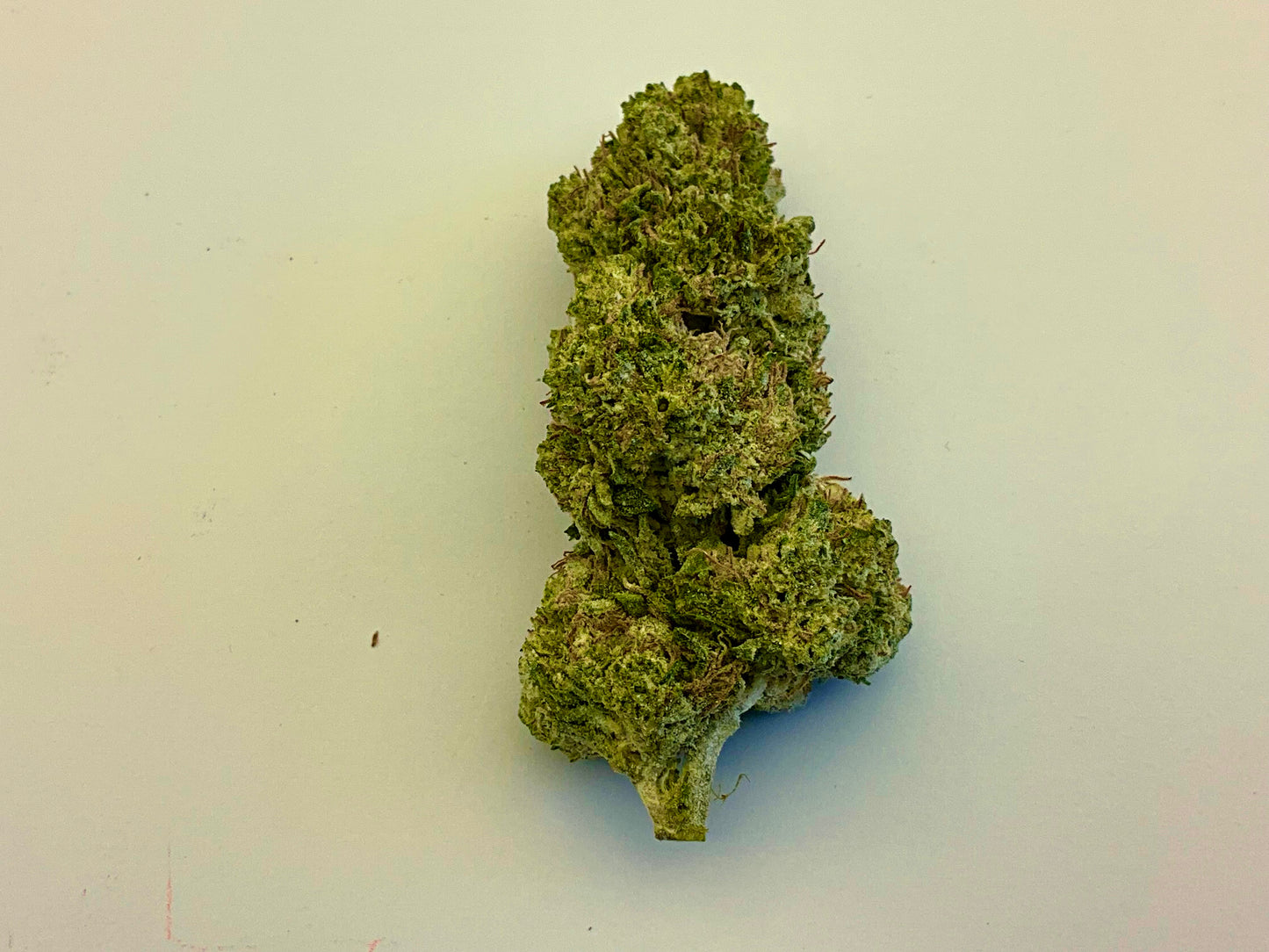THCA Weed GOZILLA 25%