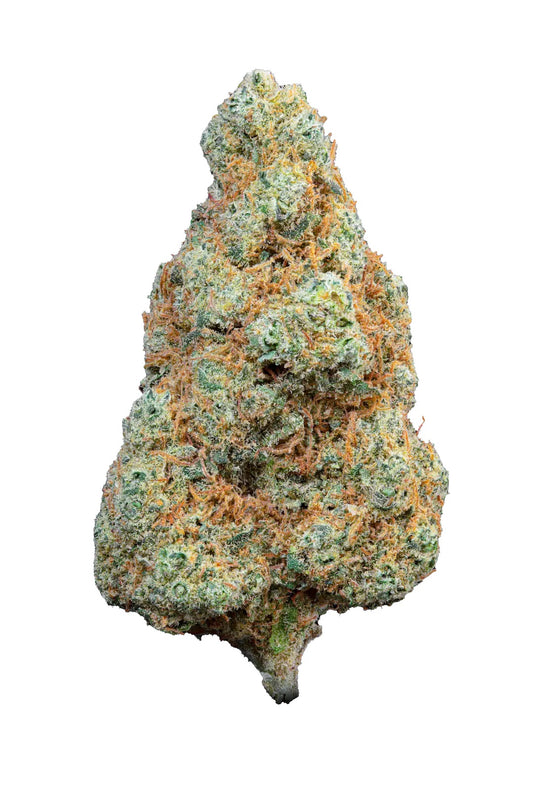 SHIVA'S FAVORITE Premium – Gorilla Glue - 19%