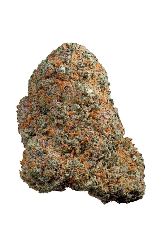 SHIVA'S FAVORITE Premium – Gelato 3.0 - 17%