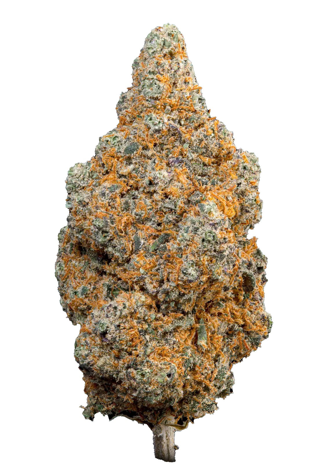 SHIVA'S FAVORITE Premium – Strawberry Kush - 17%