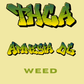 Amnesia OG