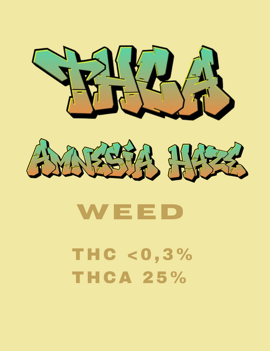THCA Weed Amnesia Haze 25% Premium CBD-Blüten mit Cali-Terpenen von Hemp Express

