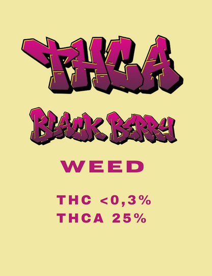 THCA Weed Black Berry 25% Premium CBD-Blüten mit Blackberry Cali-Terpenen von Hemp Express

