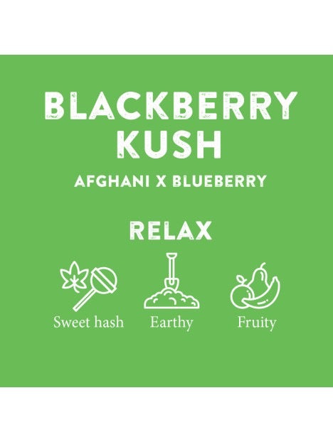 THCA Weed Black Berry 25% Terpenen-Profil mit Caryophyllene, Myrcene und Limonene
