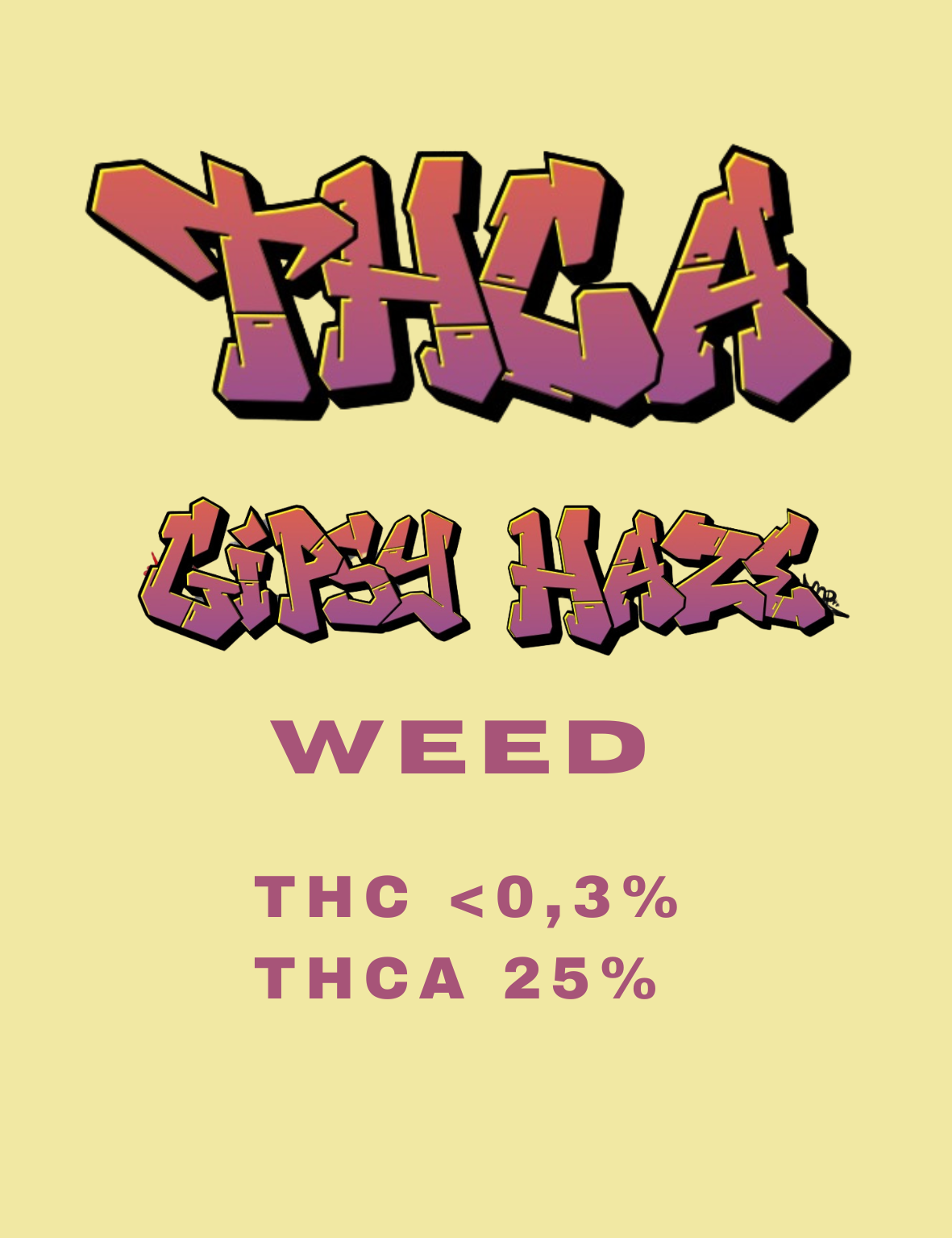 THCA Weed Gipsy Haze 25% Premium CBD-Blüten mit Cali-Terpenen von Hemp Express